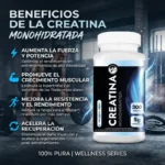 Creatina Monohidrato Nf 300 Grs Ultramicronizada sin Sabor - Imagen 2
