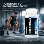 Creatina Monohidrato Nf 300 Grs Ultramicronizada sin Sabor - Imagen 3